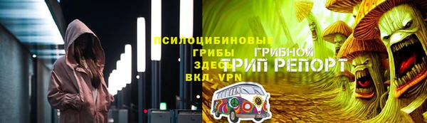 не бодяженный Алексин