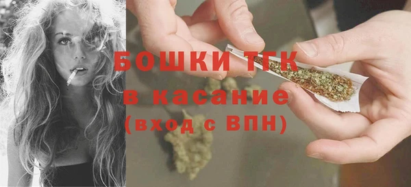 мдпв Елабуга