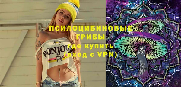 стаф Алексеевка