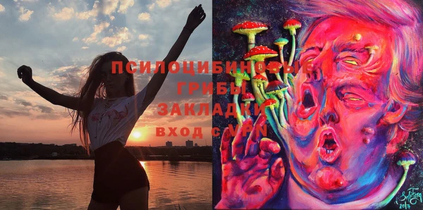 стаф Алексеевка