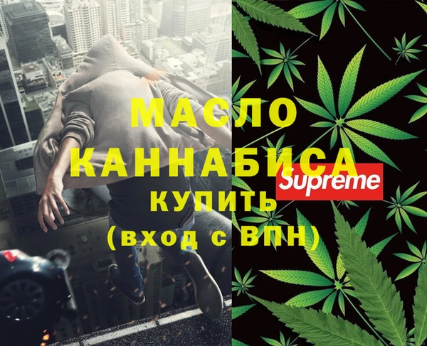 спиды Ельня