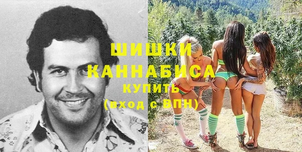 ГАЛЛЮЦИНОГЕННЫЕ ГРИБЫ Алзамай