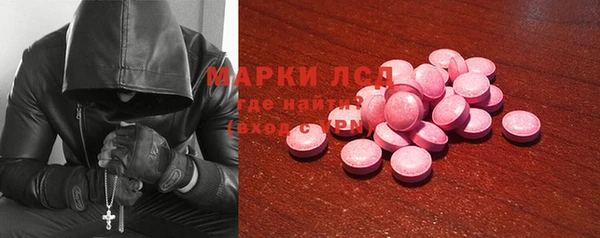 ГАЛЛЮЦИНОГЕННЫЕ ГРИБЫ Алзамай