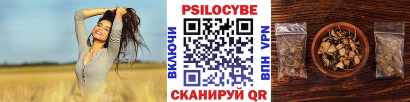 наркошоп  Петропавловск-Камчатский  Галлюциногенные грибы мухоморы 