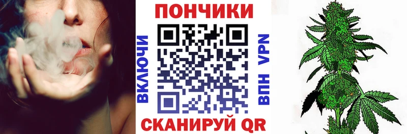 Бошки Шишки LSD WEED  omg как зайти  Петропавловск-Камчатский 